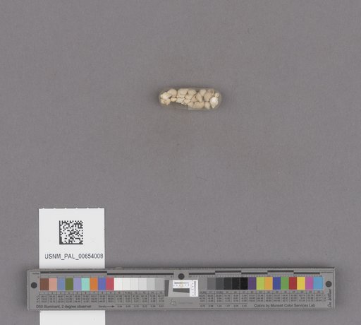 NSF ADBC EPICC TCN