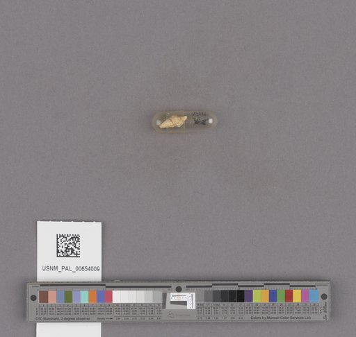 NSF ADBC EPICC TCN