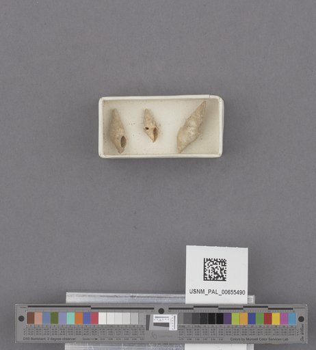 NSF ADBC EPICC TCN