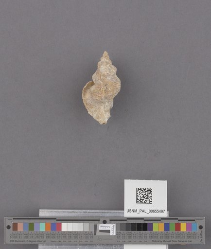NSF ADBC EPICC TCN