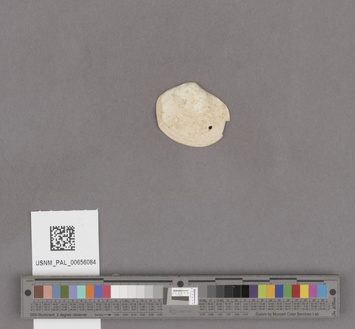 NSF ADBC EPICC TCN