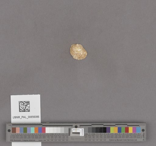 NSF ADBC EPICC TCN