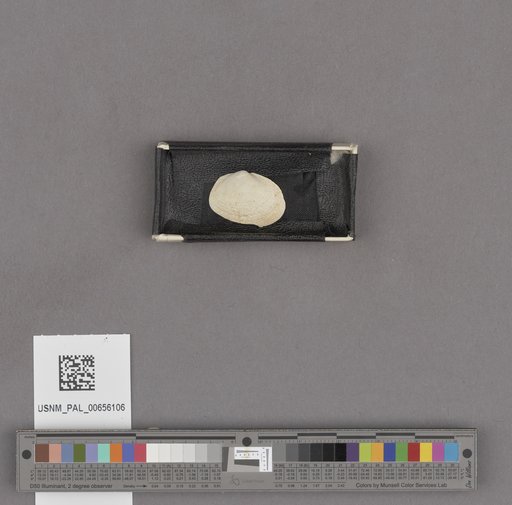 NSF ADBC EPICC TCN