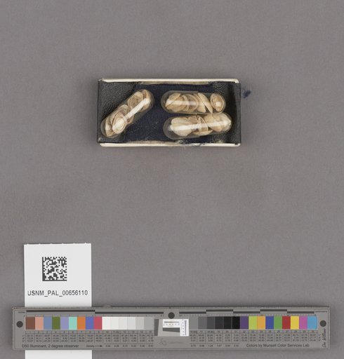 NSF ADBC EPICC TCN