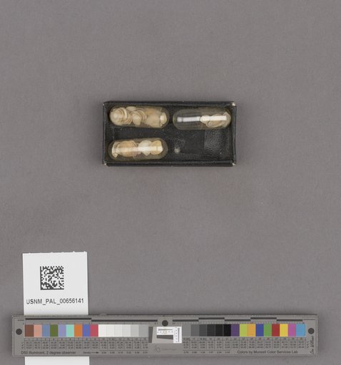 NSF ADBC EPICC TCN