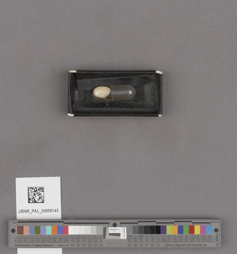 NSF ADBC EPICC TCN