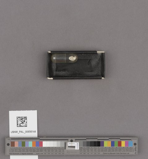 NSF ADBC EPICC TCN