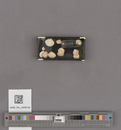 NSF ADBC EPICC TCN