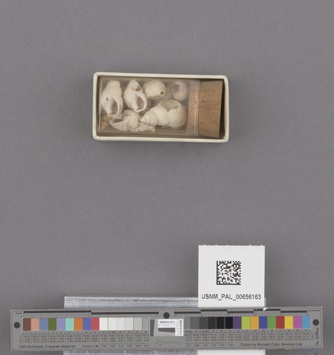 NSF ADBC EPICC TCN