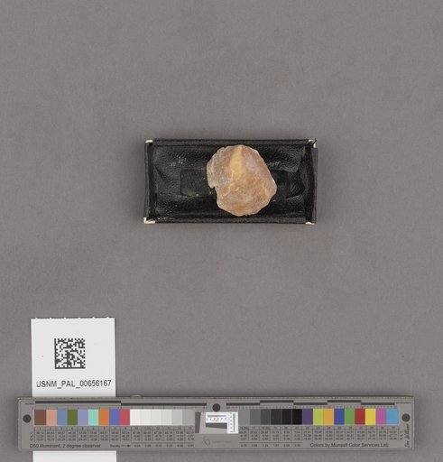 NSF ADBC EPICC TCN