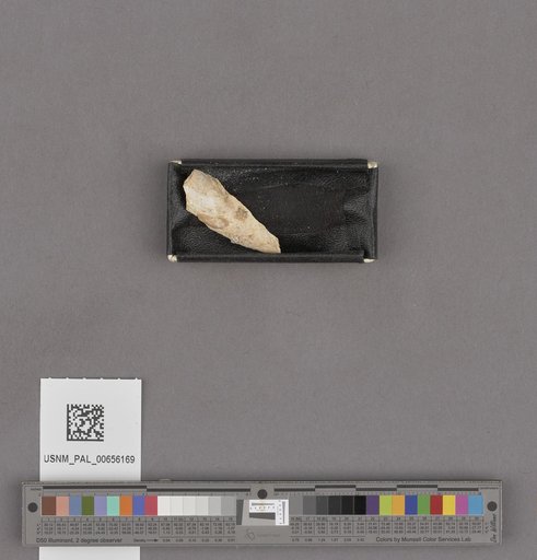 NSF ADBC EPICC TCN