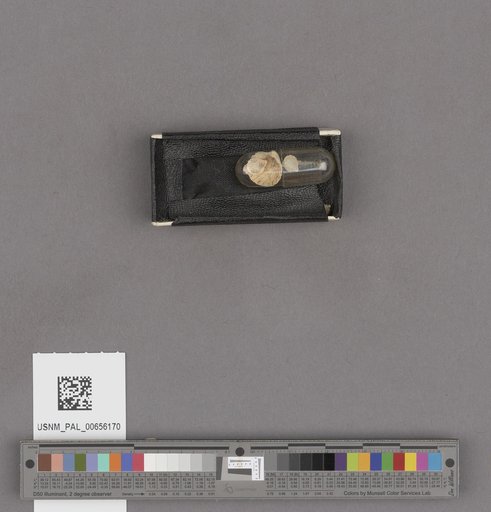 NSF ADBC EPICC TCN