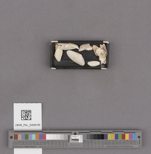 NSF ADBC EPICC TCN