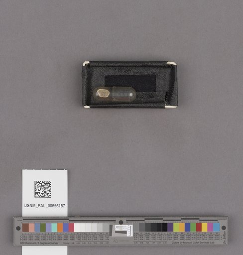 NSF ADBC EPICC TCN