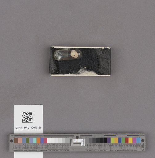 NSF ADBC EPICC TCN