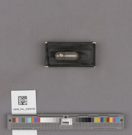 NSF ADBC EPICC TCN