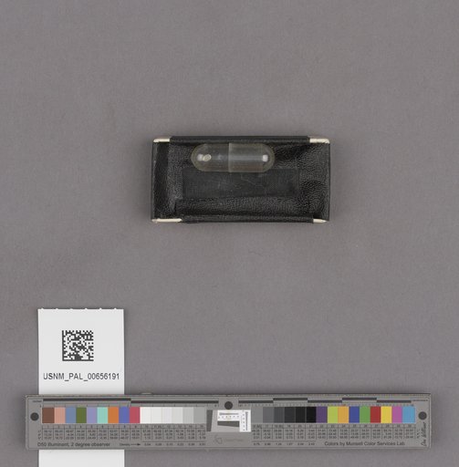 NSF ADBC EPICC TCN