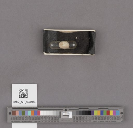 NSF ADBC EPICC TCN