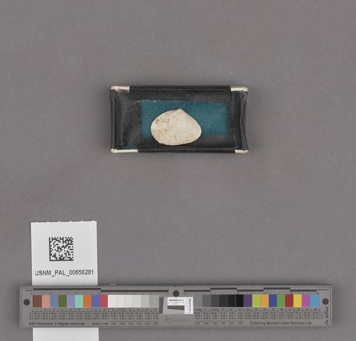 NSF ADBC EPICC TCN