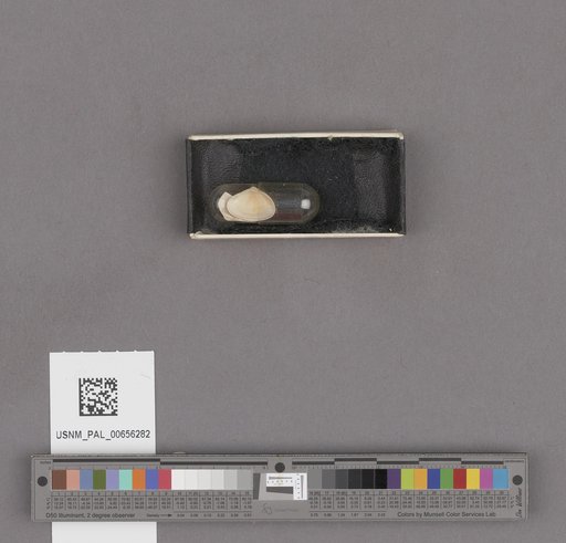 NSF ADBC EPICC TCN