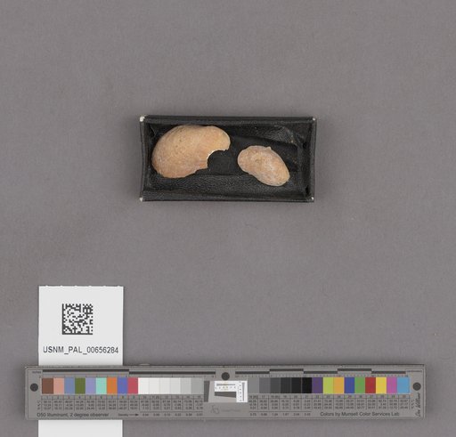 NSF ADBC EPICC TCN