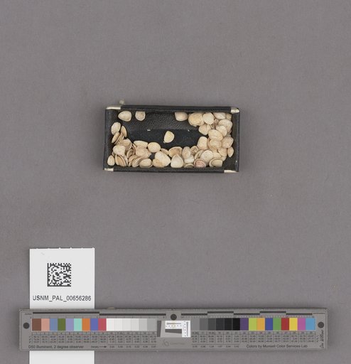 NSF ADBC EPICC TCN