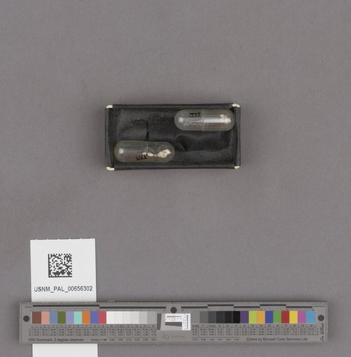 NSF ADBC EPICC TCN