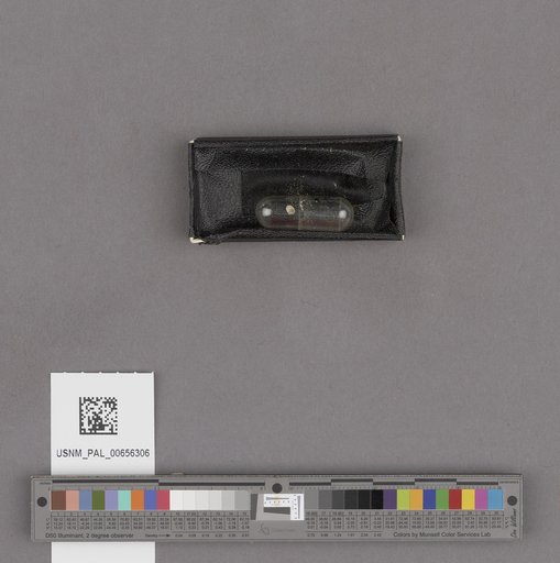NSF ADBC EPICC TCN