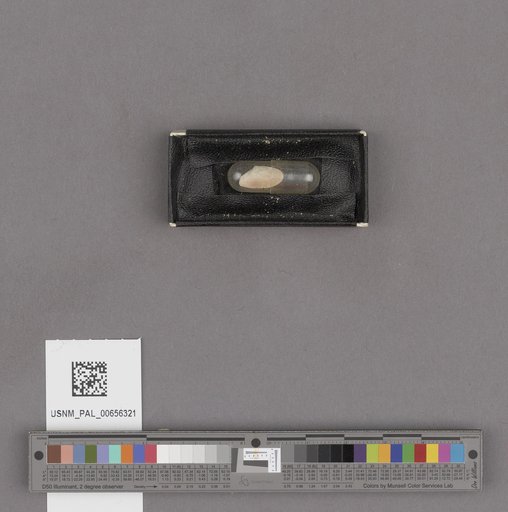 NSF ADBC EPICC TCN