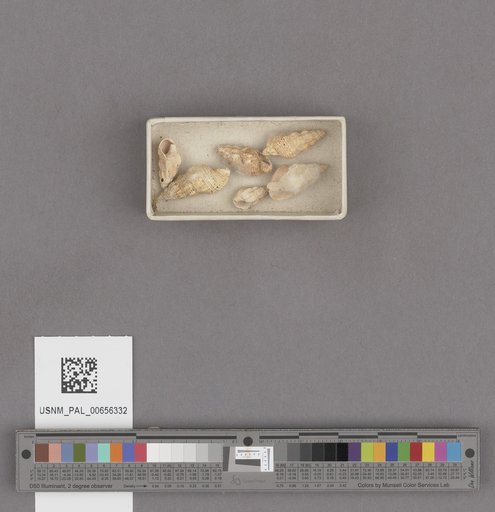 NSF ADBC EPICC TCN