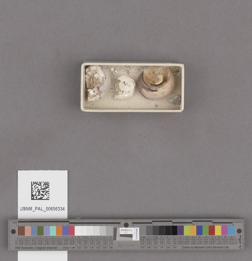 NSF ADBC EPICC TCN