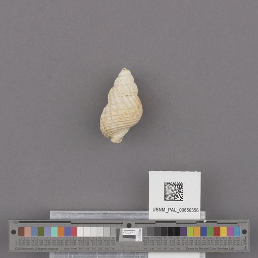 NSF ADBC EPICC TCN