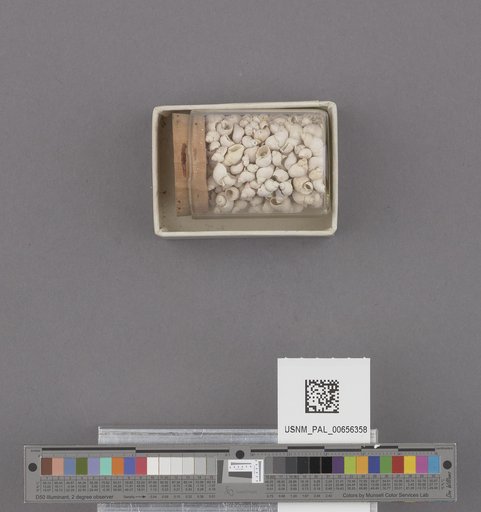 NSF ADBC EPICC TCN