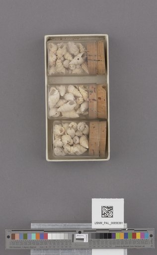 NSF ADBC EPICC TCN