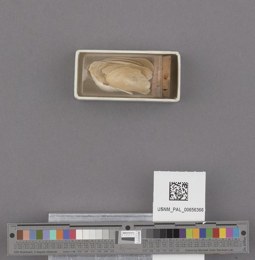 NSF ADBC EPICC TCN