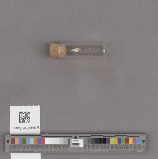NSF ADBC EPICC TCN