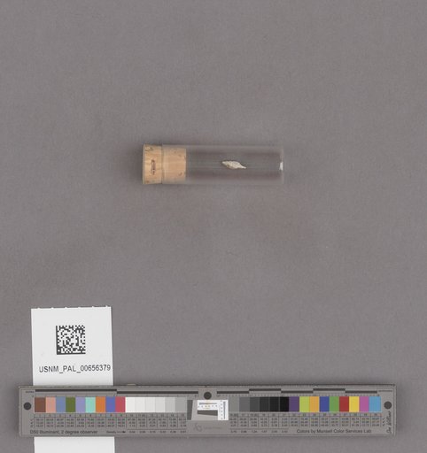 NSF ADBC EPICC TCN