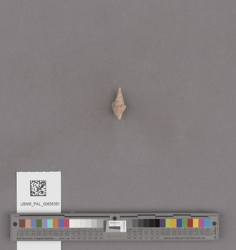 NSF ADBC EPICC TCN