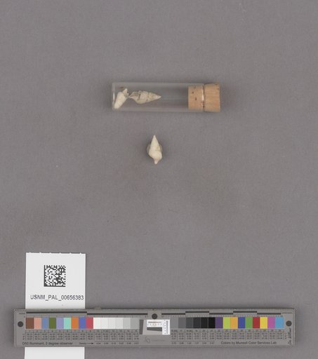 NSF ADBC EPICC TCN