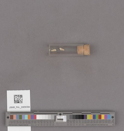 NSF ADBC EPICC TCN
