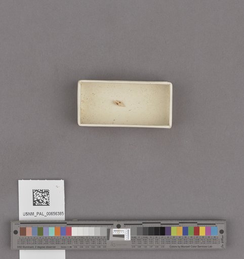 NSF ADBC EPICC TCN