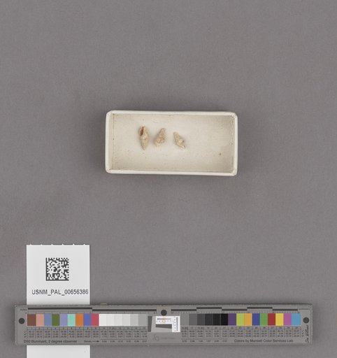 NSF ADBC EPICC TCN