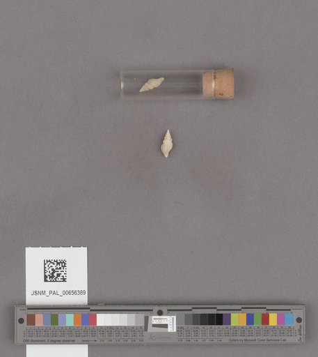 NSF ADBC EPICC TCN