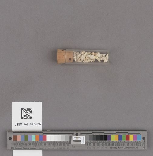 NSF ADBC EPICC TCN