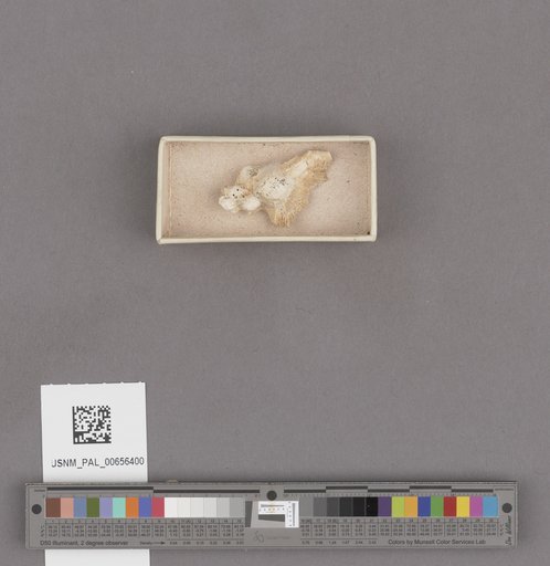 NSF ADBC EPICC TCN