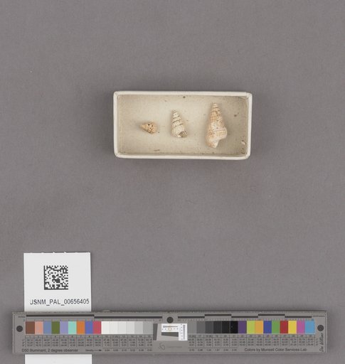 NSF ADBC EPICC TCN