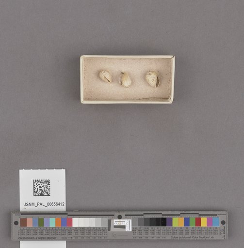 NSF ADBC EPICC TCN