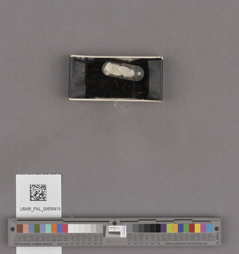 NSF ADBC EPICC TCN