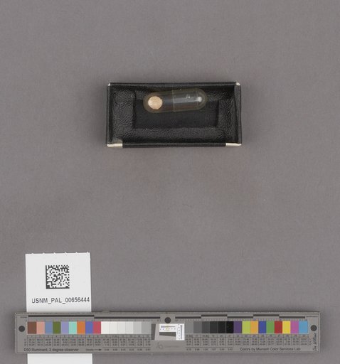 NSF ADBC EPICC TCN