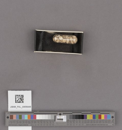 NSF ADBC EPICC TCN